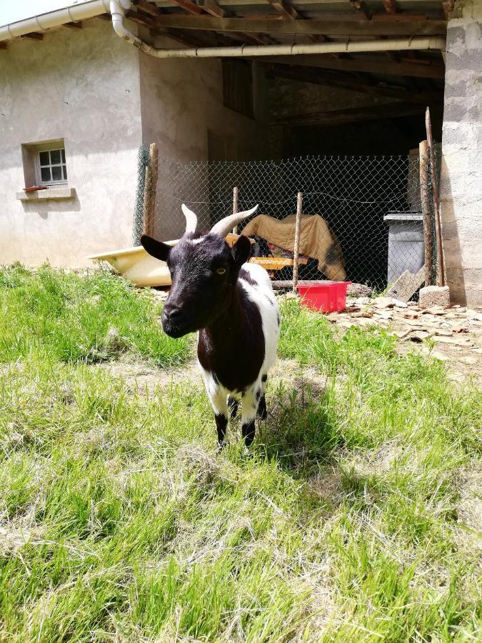 Yourte Mongole Veritable Montcaret Exterior foto